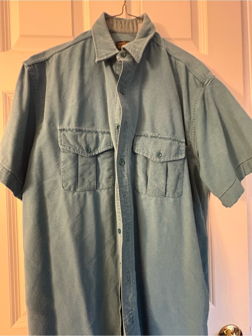 Men's Short-Sleeve Flannel Button-Up Shirt in Light Green